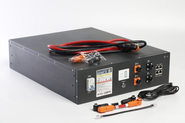 Аккумулятор Challenger LF 48-100 LiFePO4 (метал. корпус)