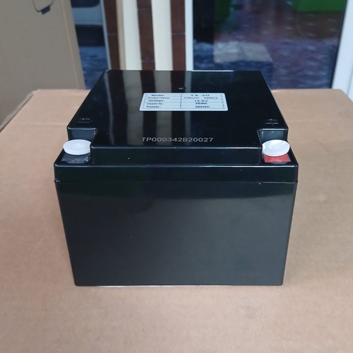 Аккумулятор Challenger LF12-30 LiFePO4 (пласт. корпус)