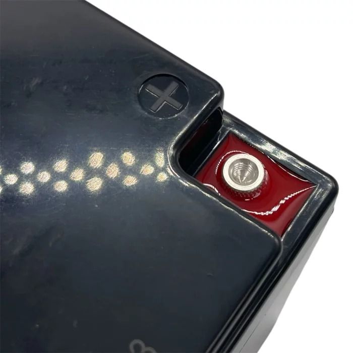 Аккумулятор Challenger LF12-30 LiFePO4 (пласт. корпус)