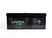 Аккумулятор Challenger LF24-100 LiFePO4 пластиковый корпус