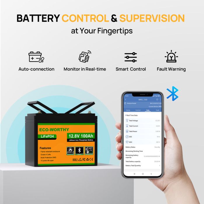 Аккумулятор ECO-Worthy LFP 12-100 LiFePO4 Bluetooth